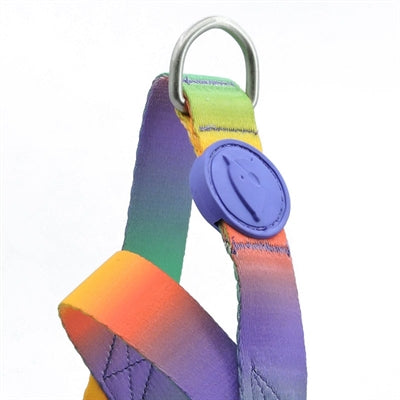 Load image into Gallery viewer, Morso norwegian hondentuig gerecycled spring blossom
