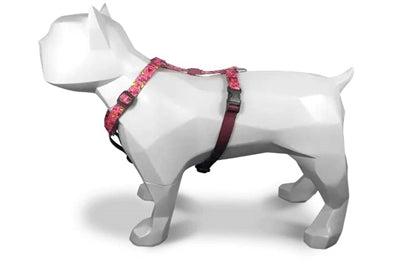 Load image into Gallery viewer, Morso hondentuig h-tuig gerecycled pink think roze
