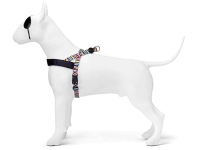 Load image into Gallery viewer, Morso norwegian hondentuig gerecycled spaghetti incident
