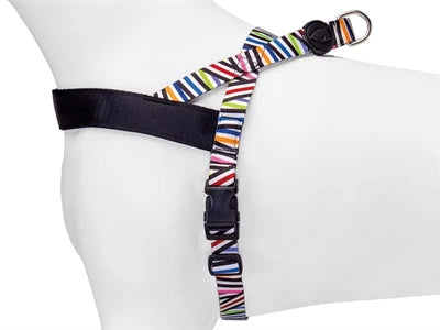 Load image into Gallery viewer, Morso norwegian hondentuig gerecycled spaghetti incident
