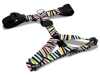 Load image into Gallery viewer, Morso hondentuig h-tuig gerecycled spaghetti incident
