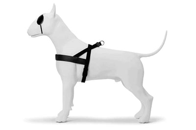 Load image into Gallery viewer, Morso norwegian hondentuig gerecycled pureness zwart
