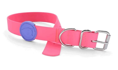 Load image into Gallery viewer, Morso halsband hond waterproof gerecycled passion pink roze
