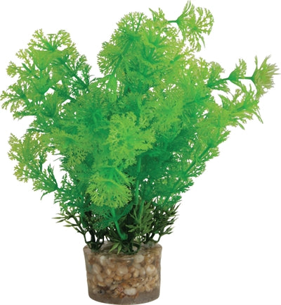 Load image into Gallery viewer, Zolux Ornament pastic plant op stenen neutraal assorti
