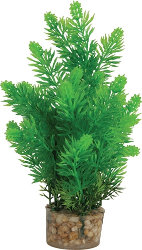 Load image into Gallery viewer, Zolux Ornament pastic plant op stenen neutraal assorti
