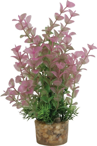 Load image into Gallery viewer, Zolux Ornament pastic plant op stenen puntig assorti
