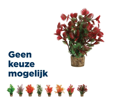 Load image into Gallery viewer, Zolux Ornament pastic plant op stenen puntig assorti
