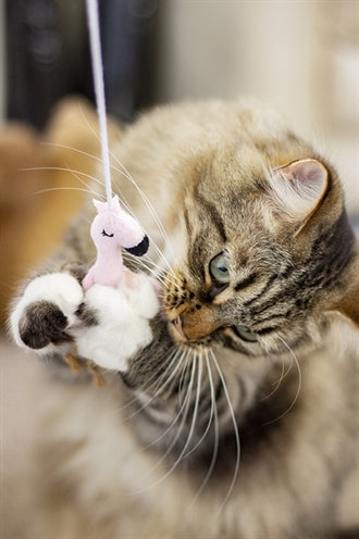 Load image into Gallery viewer, Rosewood Kattenhengel flamingo eco friendly gerecycled
