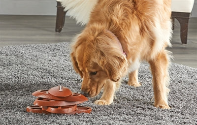 Load image into Gallery viewer, Brightkins Touchdown time treat puzzle
