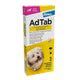 Adtab Adtab kauwtablet hond