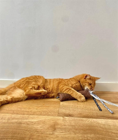 Load image into Gallery viewer, Martin kattenspeelgoed estelle kussen met catnip gerecycled assorti
