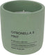 Pro garden citronella kaars in pot 10cm groen
