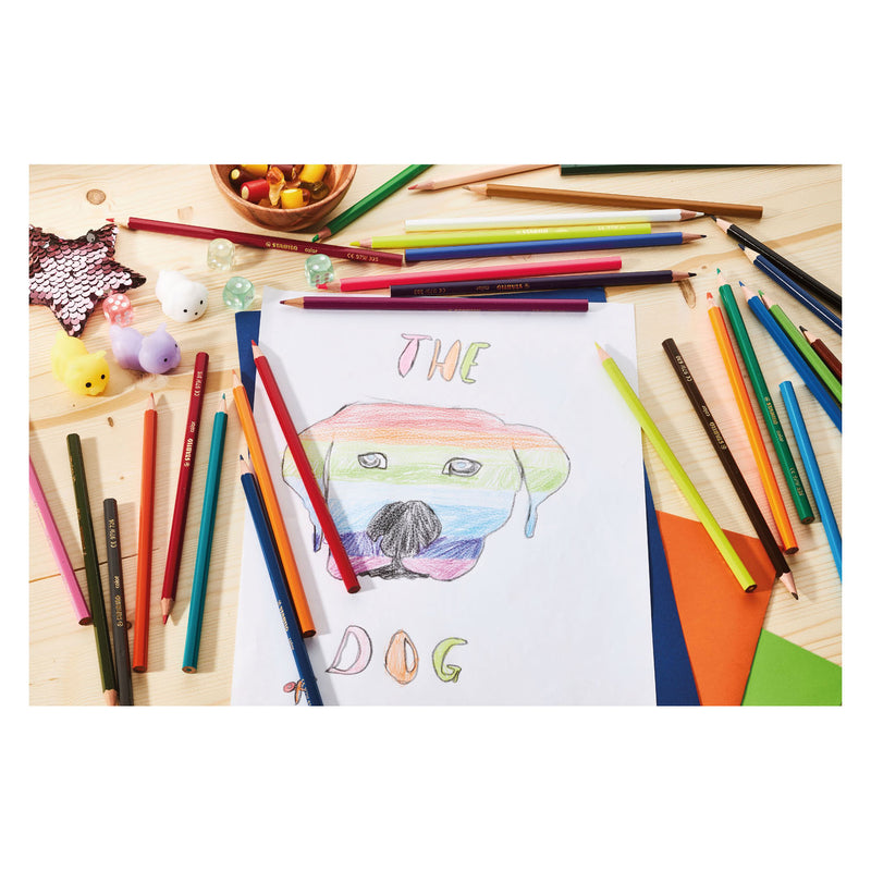 Load image into Gallery viewer, Stabilo color kleurpotlood etui 12
