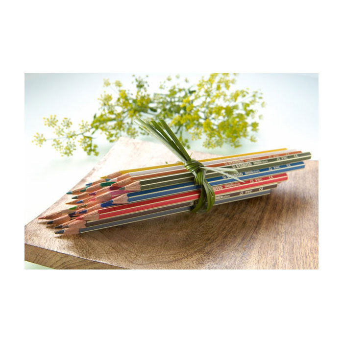 Load image into Gallery viewer, Stabilo greencolors - kleurpotloden - arty - set 12 stuks
