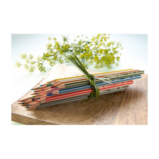 Abi stlo greencolors arty kleurpotloden etui a 24 stuks