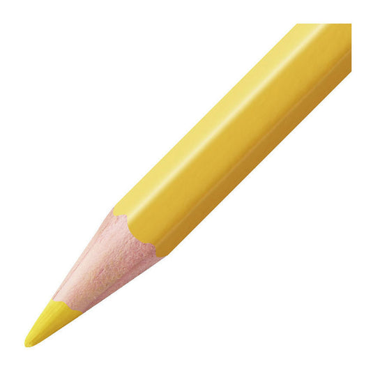 Stabilo aquacolor potloden etui a 24 stuks