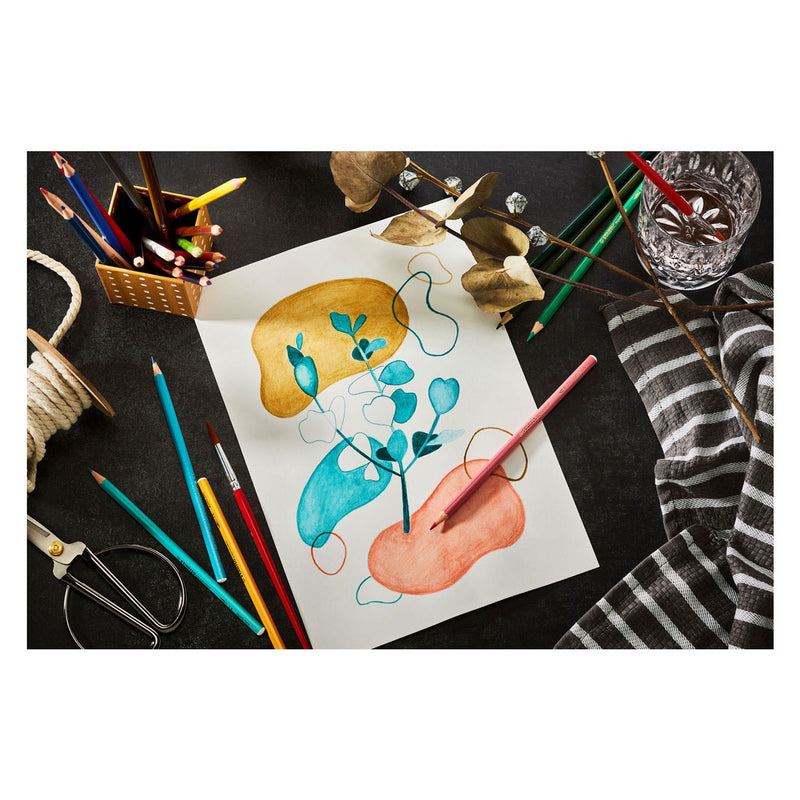 Load image into Gallery viewer, Stabilo aquacolor - premium aquarel kleurpotloden - arty - etui met 36 kleuren
