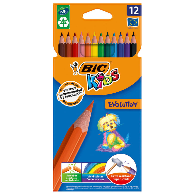 Load image into Gallery viewer, Bic kleurpotloden ecolutions evolution kunsthars assorti 12 stuks
