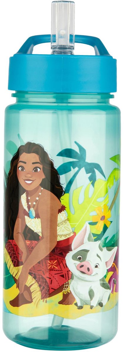 Disney vaiana serie - bidon - 500ml - veilig materiaal - nadruk hoofdbetaalfiguren