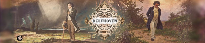 Afbeelding laden in galerijviewer, Rondo10 muziekje: beethoven walk (concer
