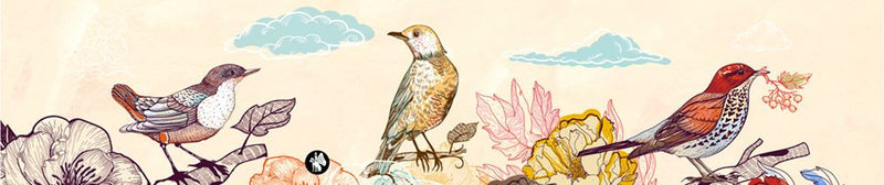 Afbeelding laden in galerijviewer, Rondo muziekje: birds 02 (mozart lullab)

