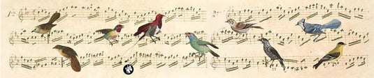 Rondo61 muziekje: notes (wie schön, dass