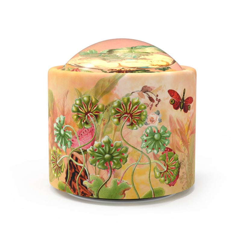 Load image into Gallery viewer, Brilly023 muziekje: happy days. happy da
