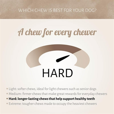 Load image into Gallery viewer, Antos Bullepeespuntjes
