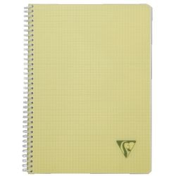 Collegebloken linicolor 328125 a4 assorti geruit