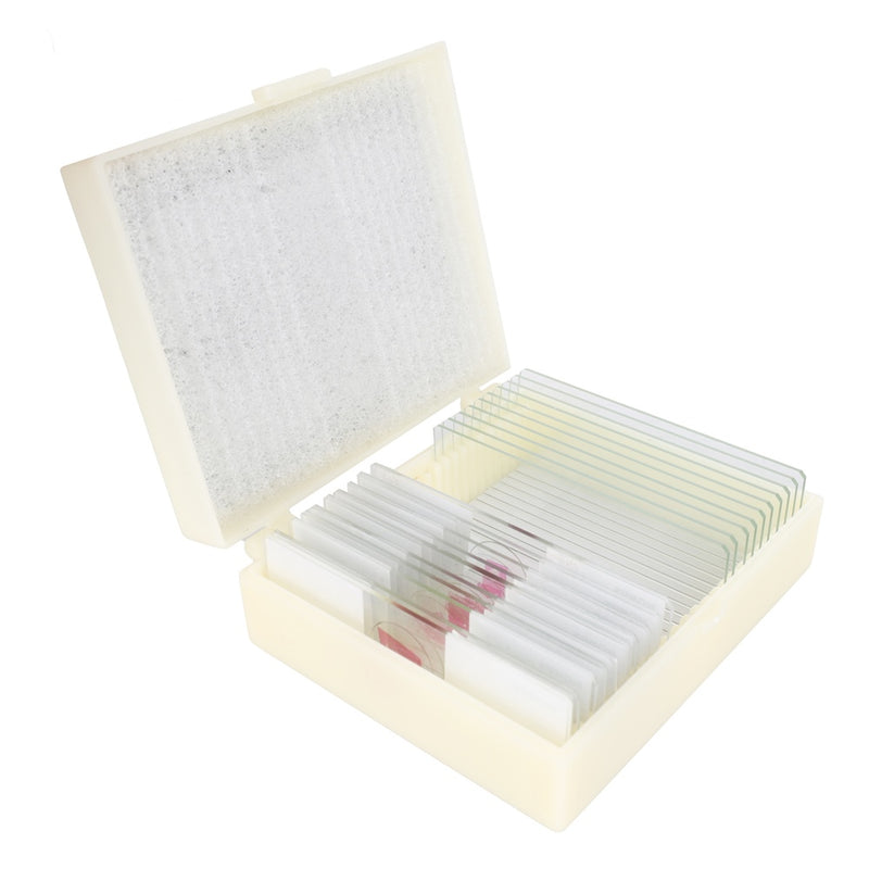 Load image into Gallery viewer, Konus Preparaten Set Bacterie�n, Simpele Organismen (10 Stuks)
