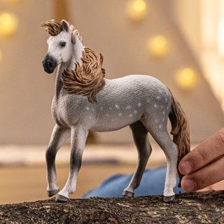 Schleich 14895 andalusian stallion | 5 stuks