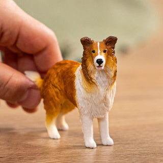 Load image into Gallery viewer, Schleich 13998 collie | 5 stuks
