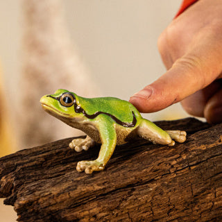 Load image into Gallery viewer, Schleich 14882 european tree frog | 5 stuks
