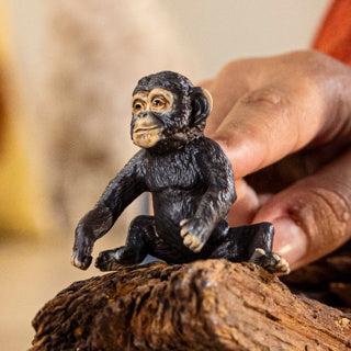Load image into Gallery viewer, Schleich | 5 stuks
