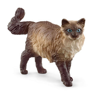 Schleich FARM WORLD Ragdoll Kat 13940