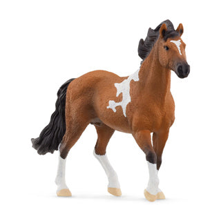 Schleich 13978 mangalarga marchador hengst | 5 stuks