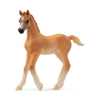 Abi schleich 13984 arsch veulen | 5 stuks