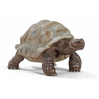 Schleich | 5 stuks