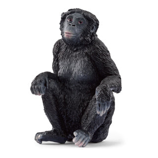 Load image into Gallery viewer, Schleich 14875 bonobovrouwtje | 5 stuks
