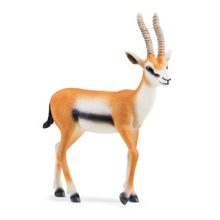 Load image into Gallery viewer, Schleich 14861 thomson gazelle | 5 stuks
