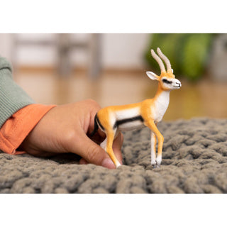 Load image into Gallery viewer, Schleich 14861 thomson gazelle | 5 stuks

