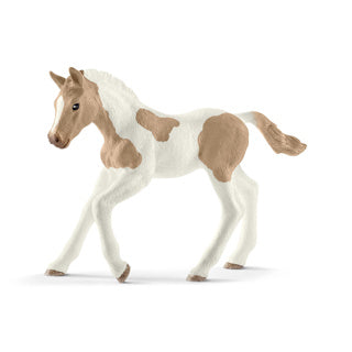 Schleich 13886 paint veulen | 5 stuks