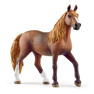 Schleich 13953 peruviaanse pasomerrie | 5 stuks