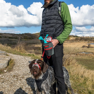 Load image into Gallery viewer, Kong Pick up pouch
