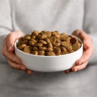 Load image into Gallery viewer, Smolke senior maxi brokken
