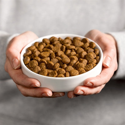 Smolke Cat adult lam rijst