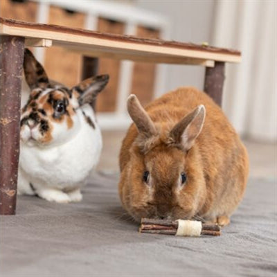 Load image into Gallery viewer, Trixie set sticks met luffa schorshout zeegras
