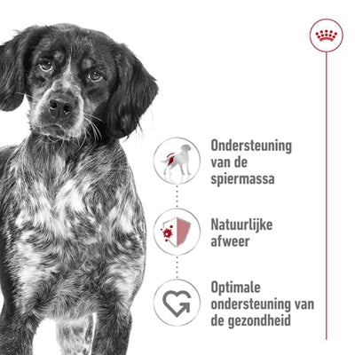Load image into Gallery viewer, Royal canin medium adult
