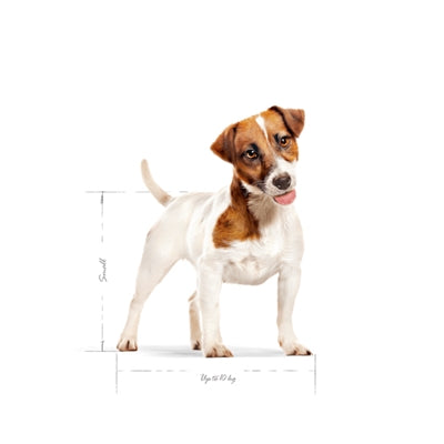 Load image into Gallery viewer, Royal canin mini adult
