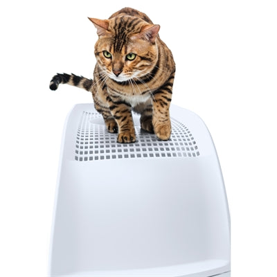 Load image into Gallery viewer, Imac kattenbak frida met lade lichtblauw
